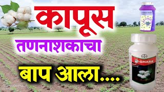 kapashi Tan nashak  | कपाशी तणनाशक | Hitweed Maxx | Ghasa | Dozo Maxx #cotton_herbicide #कापूसतननाशक