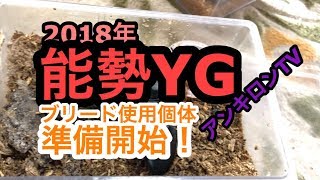 2018年能勢YG親虫『越冬から起こします！』