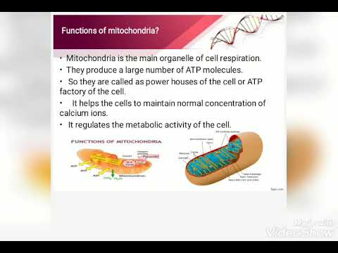 10th Science /UNIT 16 /PLANT ANATOMY AND PLANT PHYSIOLOGY PART VI - YouTube