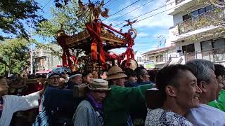 2024年9月15日　五反田氷川神社大神輿　例大祭