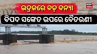 Odisha Flood |ଭଦ୍ରକରେ ବଡ଼ ବନ୍ୟା, ବିପଦ ସଙ୍କେତ ଉପରେ ବୈତରଣୀ | Odisha Rain News | Heavy Rain In Odisha