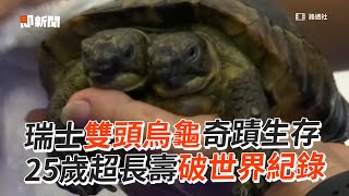 活最久的雙頭烏龜！奇蹟生存25年破世界紀錄｜寵物動物｜烏龜｜瑞士