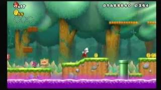 New Super Mario Bros. Wii Walkthrough 24