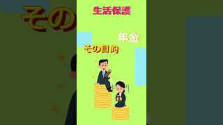 生活保護より少ない年金？ #国民年金