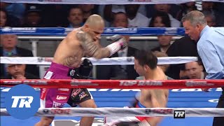 Cotto vs Martinez | Great Upsets in Boxing Free Fight