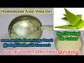 How to make aloe vera gel at home in tamil / Homemade Aloevera gel tamil/How to store aloevera gel