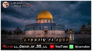 Labbaik Ya Aqsa | Hazir Hai Hazir Hai Jaan Apni Palestine | Full Dj | Hafiz Tahir Qadri |