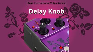 2. Eventide Rose - Delay Knob