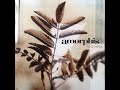 Amorphis - Summer's End
