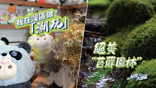 大明星熊貓“蓉寶”再次登場！國潮閃亮崛起，“中國潮玩之都”如何引領“國潮”出海？｜雲霧繚繞，小世界太治愈啦！探秘中國第一家絕美“苔蘚園林”｜發現大灣區