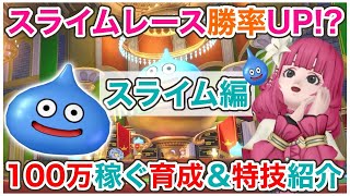 【ドラクエ10】スライムレース開催！金策で100万Gを稼ぎたい方へ！育成＆特技紹介！