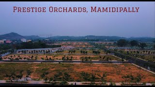 Prestige Orchards