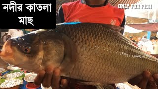 মাছ কোটার ভিডিও | বড় মাছ কোটা | বড় মাছ কাটা | Big fish Cutting | Fish cutting video | বড় মাছ |