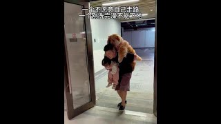 两个都是宝宝啊#松狮 #pets #funny