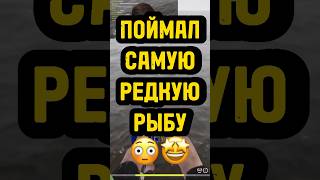 🤯ЧУДО РЫБА🔥 #рр4 #рр4фарм #рр4стрим #русскаярыбалка4