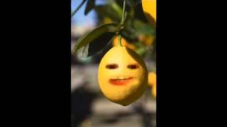 Irritating Lemon-Hey viewers!!!!