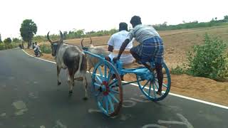 Aranthangi reklarece training       rasu  ,    rajkumar