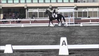 第53回関東学生馬術女子競技大会　馬場競技大会　2年　細川映里香　桜宝