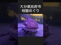 地獄めぐり　大分県別府市ならではの施設です。 旅行 観光 温泉