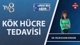 Kök Hücre Tedavisi Nedir? | Dr. Pelin Kasım Düzgün | 8'de Sağlık