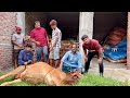 ( 2022 ) Eid Ul Adha Mubarak ❤️