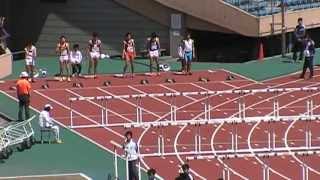 20130407 六大学対抗戦110mH予選2組