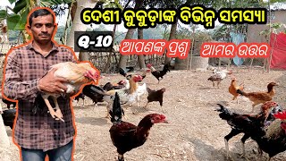 ଦେଶୀ କୁକୁଡାଙ୍କ ବିଭିନ୍ନ ସମସ୍ୟା କୁ ନେଇ ଉତ୍ତର //Answers to various problems of native chickens 🐓🐓