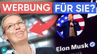 Brisanter AfD-Talk mit Musk: Ist das Gespräch eine illegale Parteispende?