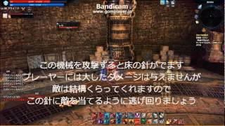 TERA　黄金の迷宮解説　下