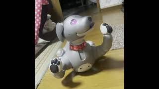 aibo ベリイ　BTS dynamite