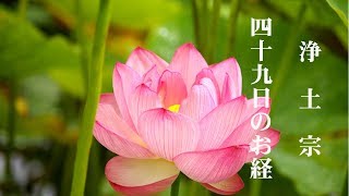 浄土宗 四十九日 お経