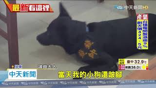 20200727中天新聞　控民代的狗亂咬！　柴犬主人護狗心切　槓上議員妻