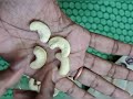 happilo cashew nuts 500g @465