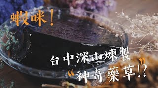 日日好味-台中深山煉製神奇藥草，柴燒不間斷熬製12小時! 台中 北屯《新凍嫩仙草》