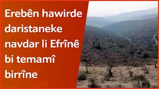 Çekdar û Erebên hawirde daristaneke navdar li Efrînê bi temamî birrîne