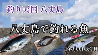 良く観光客の方に何が釣れますか？って聞かれるので‥「概要欄に」