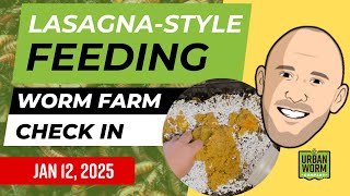 Lasagna Method Feeding: Weekly Worm Farm Check-In Jan 12, 2025