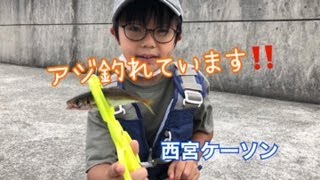 サビキ釣りが好調です！西宮ケーソンfishing max武庫川店