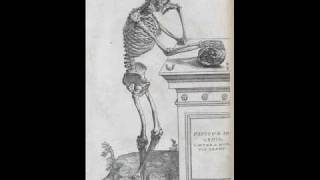 Andreas Vesalius