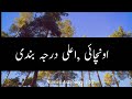 riffat name meaning in urdu riffat naam ka matlab kya hai rifat name status muslim girl name