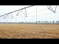 GLOBALink | Modern irrigation techniques help with grain production in central China