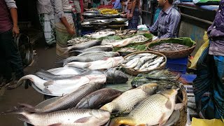 Srimangal Hat Bazar শ্রীমঙ্গল হাট বাজার 2019