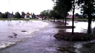 Hochwasser 2010 in Bramsche , Hase