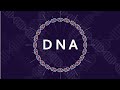 Understand the role of DNA in our cells | DNA Kia Hai? | UrduFreeAnimatedEducation