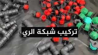 طريقة تركيب شبكة الري بكل سهولة🌿🌿#الزراعة_المنزلية#زراعة #السعودية_الخضراء