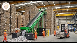 How Everyday Paper Is Made – The Fascinating Process of Making Paper From Trees!