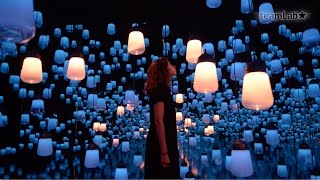 Forest of Resonating Lamps by teamLab