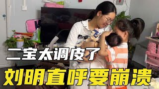 二宝整天哭闹不止，刘明感到心力交瘁，老鸭一招轻松解决【土家老鸭】