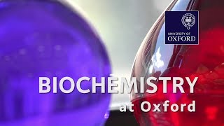 Biochemistry (Molecular and Cellular) at Oxford University