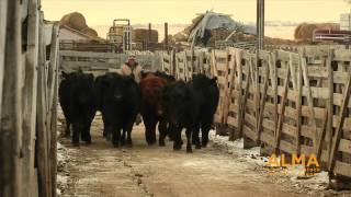 Traceability In Alberta